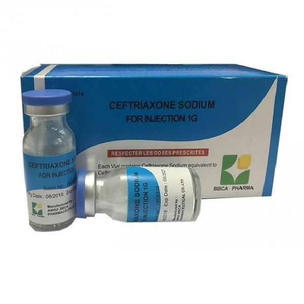 Ceftriaxone Sodium Injection Powder